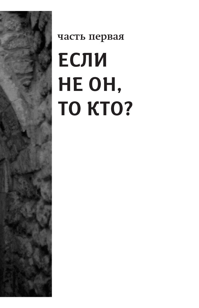 Книга, посвященная памяти протоиерея Димитрия Смирнова. Автор: . Издательство "Вольный Странник"