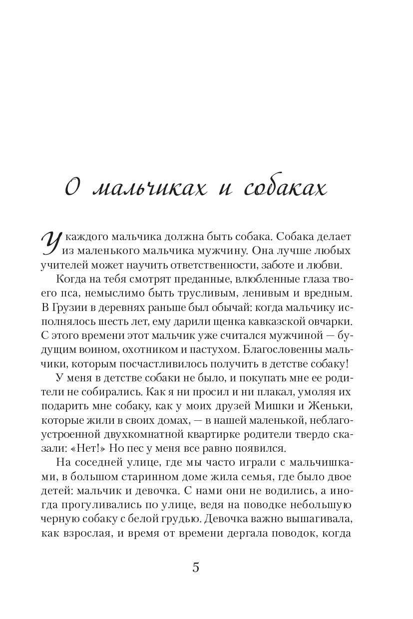 Утро нового дня. Автор: Денис Ахалашвили. Издательство "Вольный Странник"