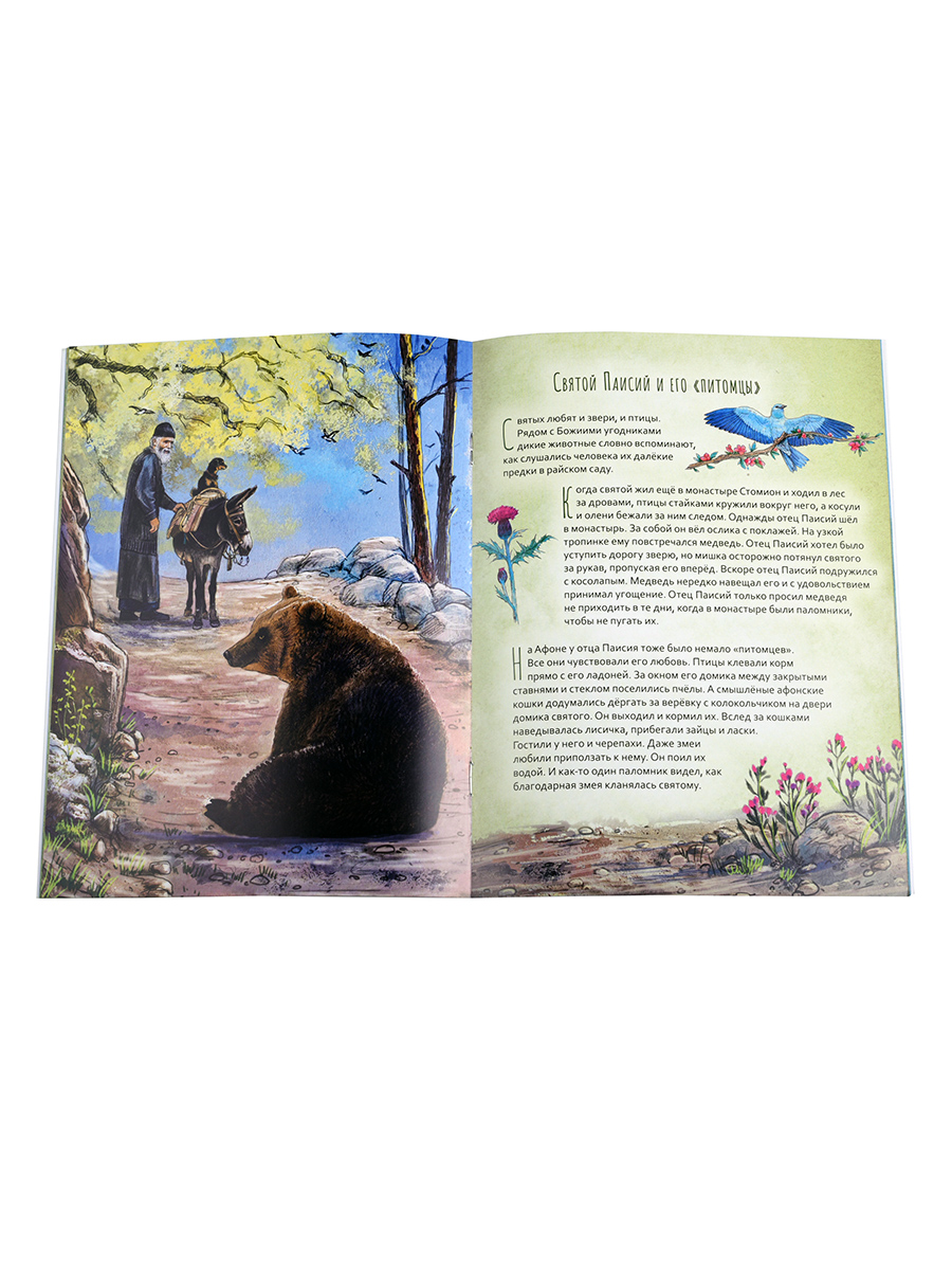 Преподобный Паисий Святогорец. Научись у святого. Автор: Судакова Ирина Николаевна. Издательство "Вольный Странник"