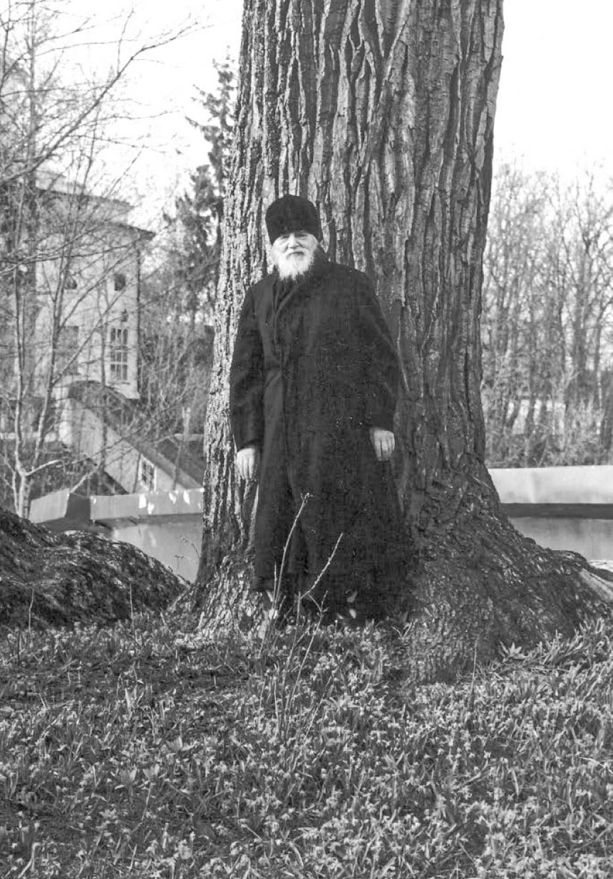 Радовать и радоваться. Автор: Архимандрит Иоанн (Крестьянкин). Издательство "Вольный Странник"