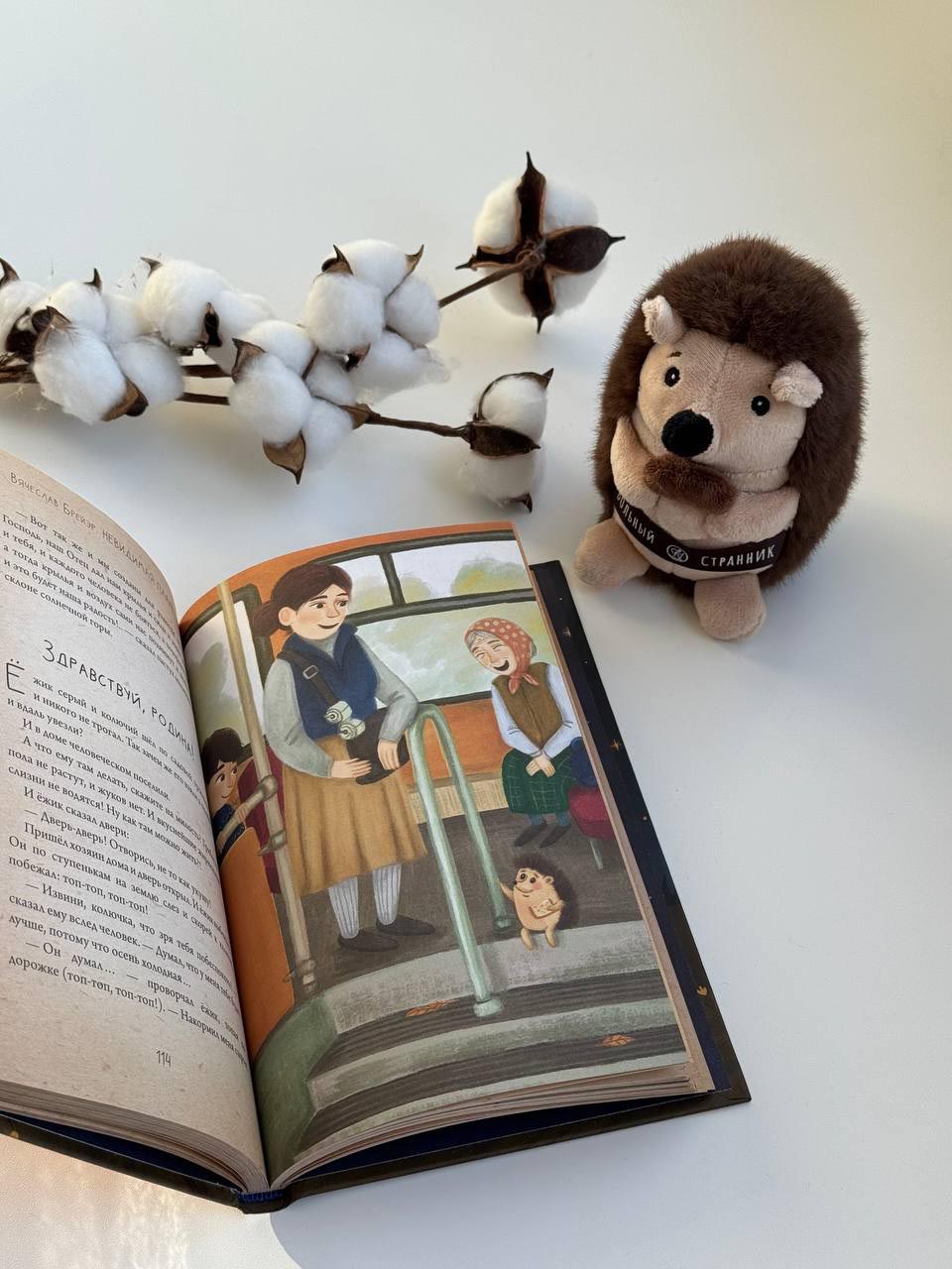 Мягкая игрушка Ежик. Автор: . Издательство "Вольный Странник"