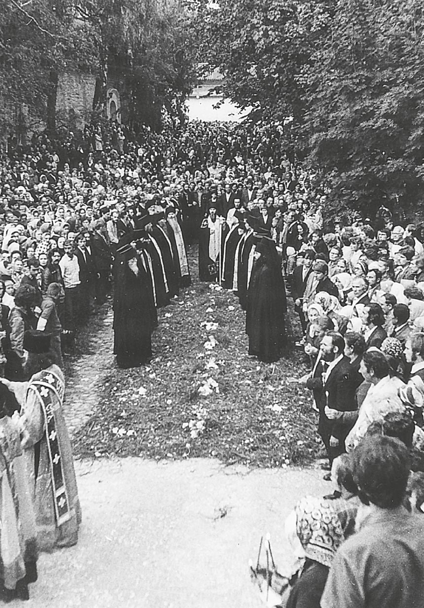 Рассуждай и действуй. Автор: Василисса Ивановна Деревягина. Издательство "Вольный Странник"