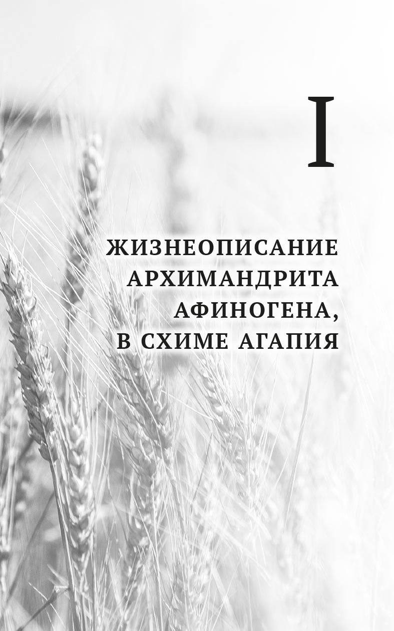 "Я - жив…". Архимандрит Афиноген (Агапов). Диакон Георгий Малков. Автор: Диакон Георгий Малков. Издательство "Вольный Странник"