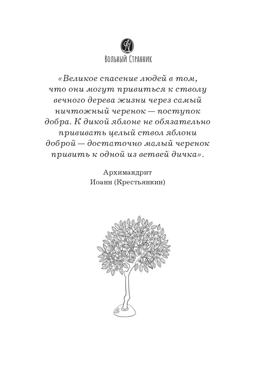 Радовать и радоваться. Автор: Архимандрит Иоанн (Крестьянкин). Издательство "Вольный Странник"