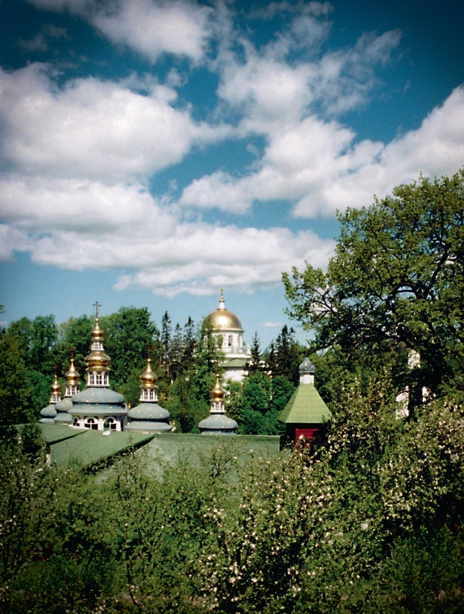 "Несвятые святые" и другие рассказы (подарочное издание). Автор: митрополит Тихон (Шевкунов). Издательство "Вольный Странник"