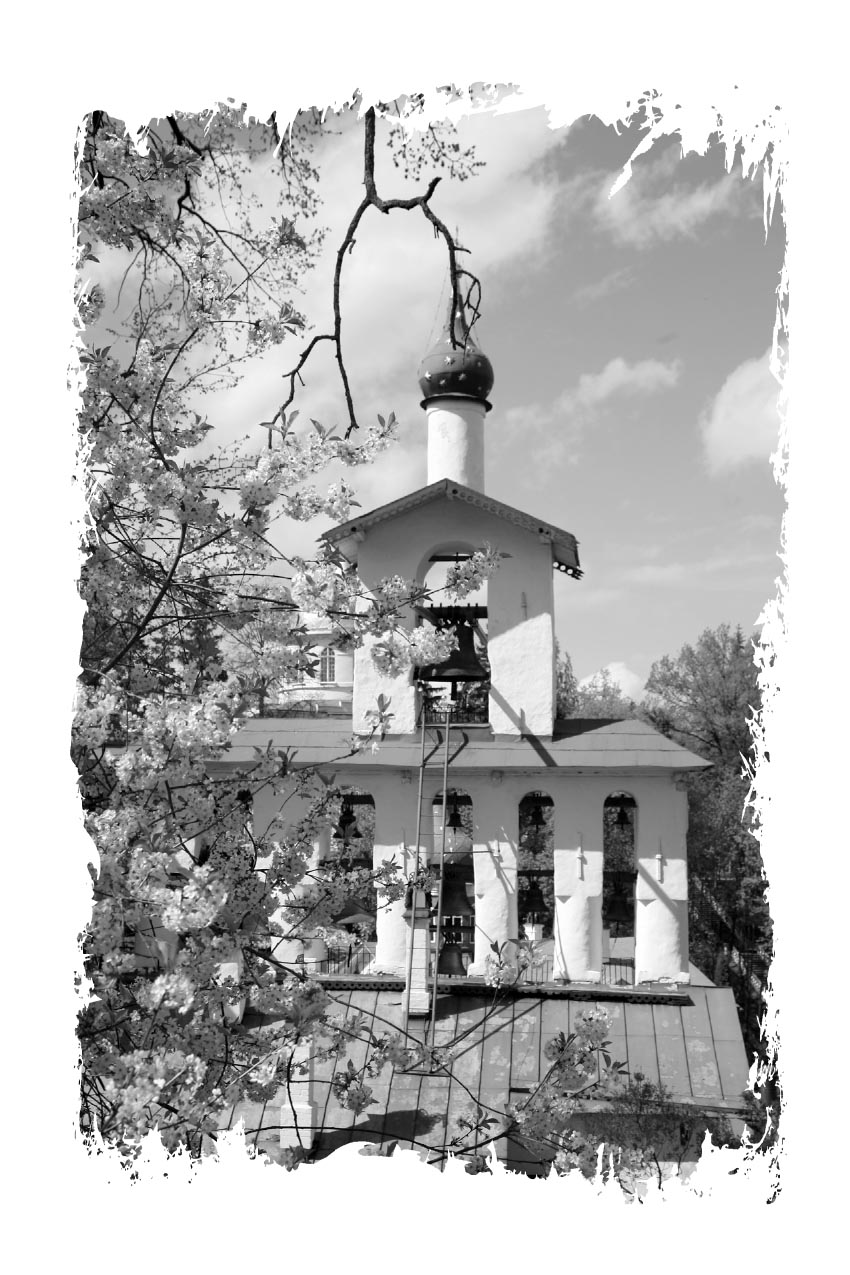 Твое Воскресение. Митрополит Тихон (Шевкунов). Автор: . Издательство "Вольный Странник"